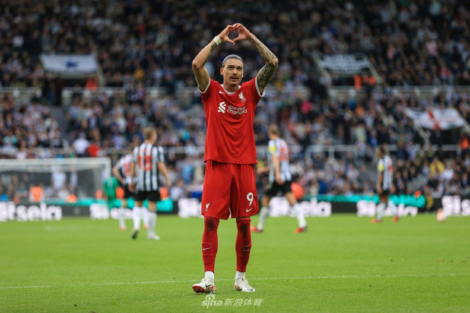 中国选手的 中国选手的