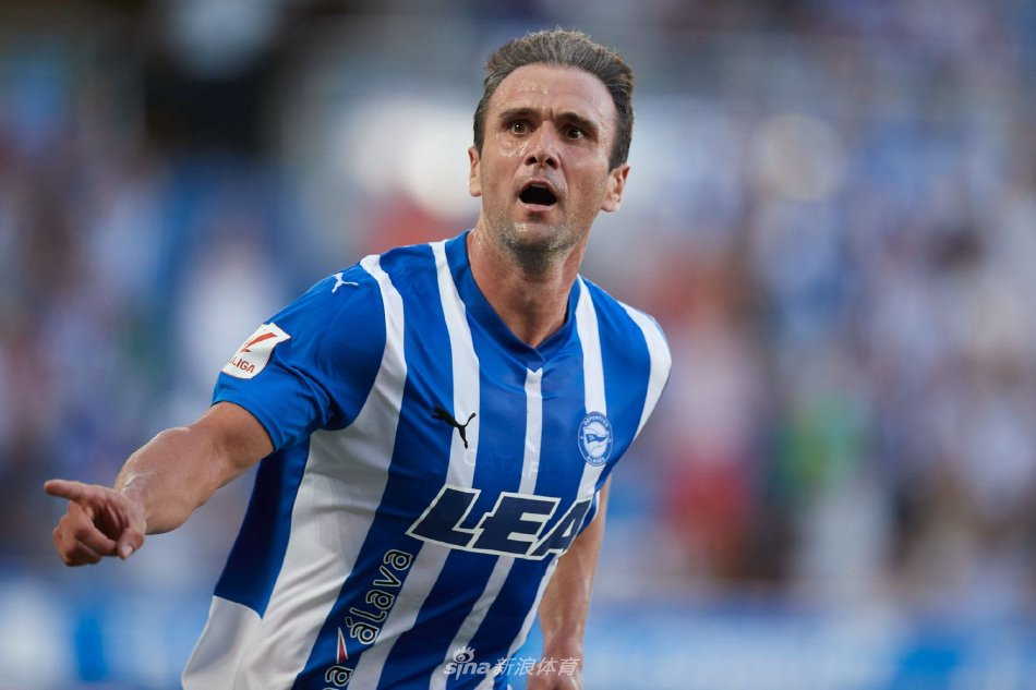 他们展现了 他们展现了